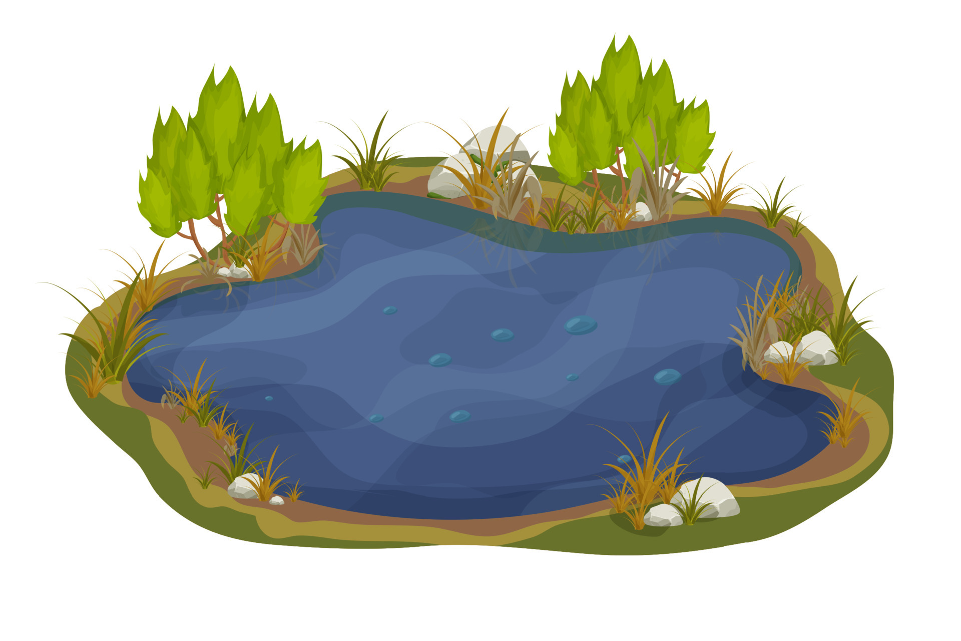 Lake, swamp with stones, bulrush lily leaves in cartoon style isolated on white background. Forest fantasy scene, wild nature. Vector illustration 6619644 Vector Art at Vecteezy Lake, swamp with stones, bulrush lily leaves in cartoon style isolated on white background. Forest fantasy scene, wild nature. Vector illustration 6619644 Vector Art at Vecteezy
