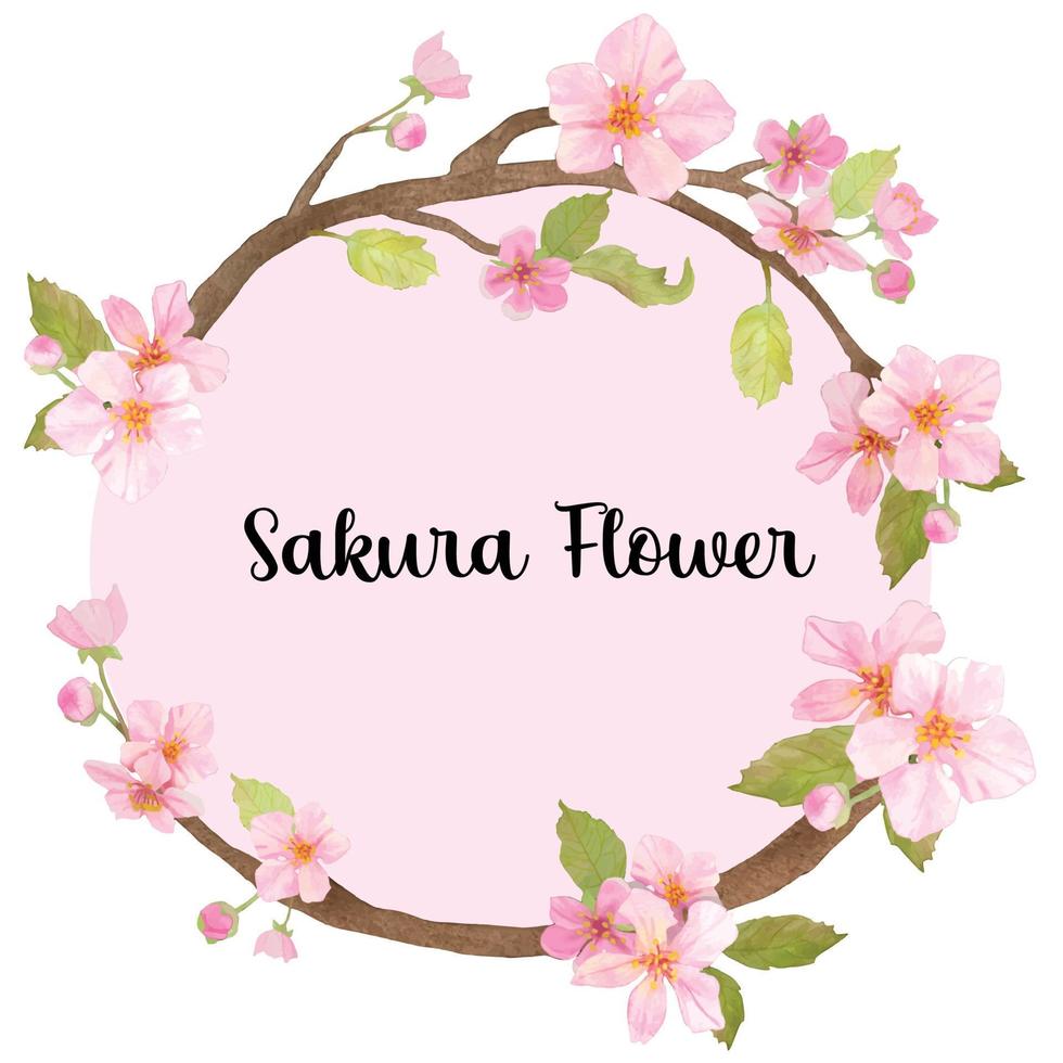 Cherry blossom flower watercolor wreath vector