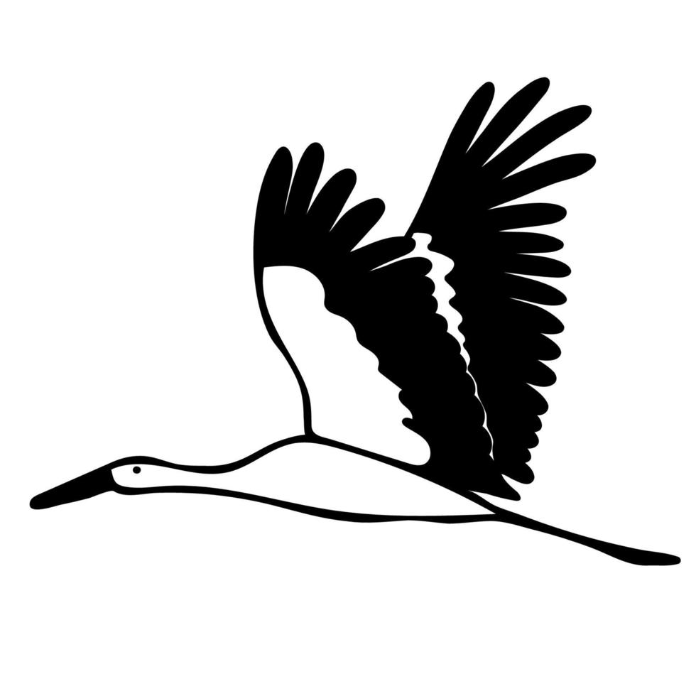 pájaro. cigüeña voladora. ilustración vectorial dibujado a mano lineal en estilo garabato. para el diseño, la decoración y la decoración vector