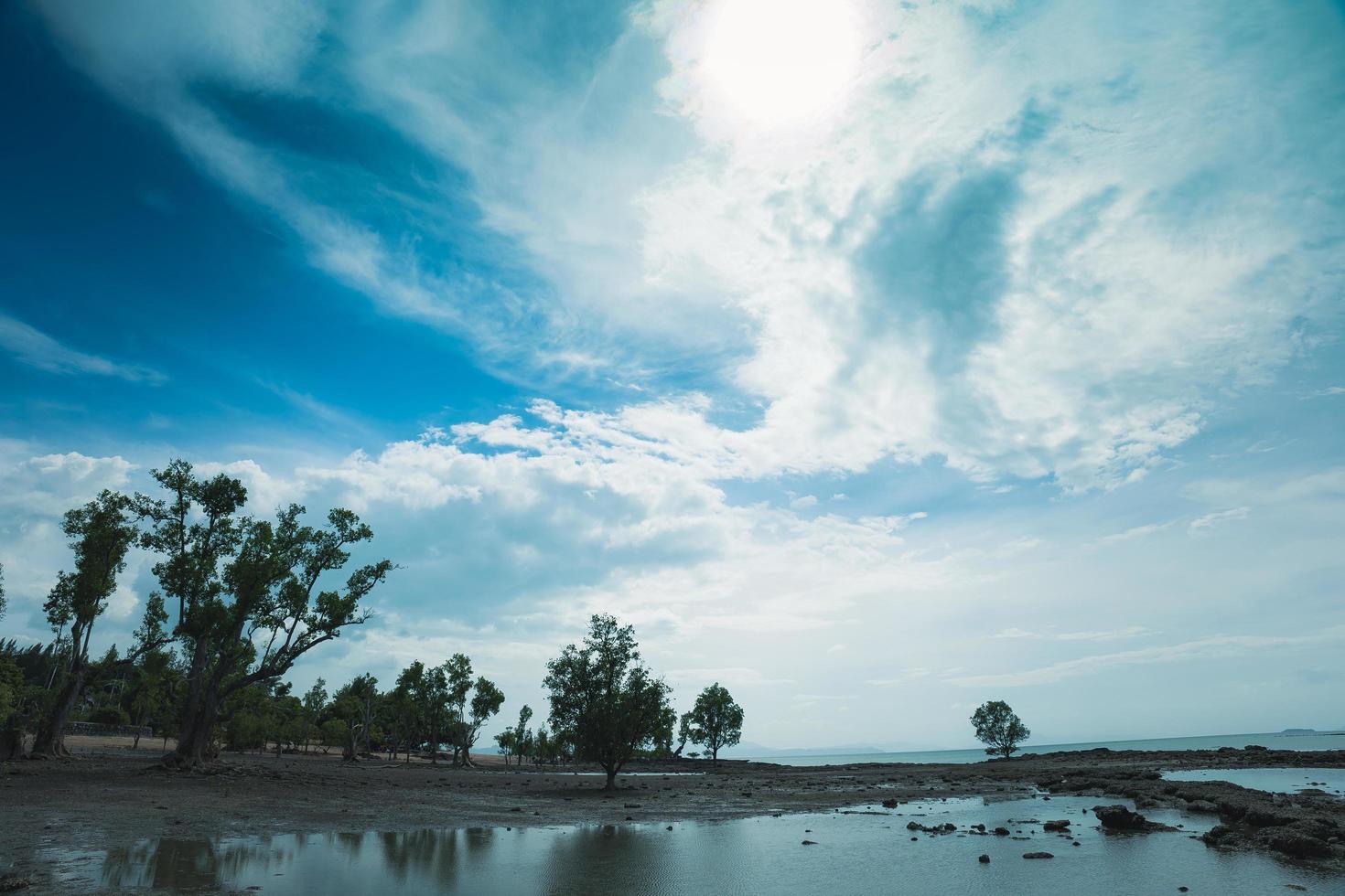 A panoramic view of the sea, trees and sky in southern Thailand. photo