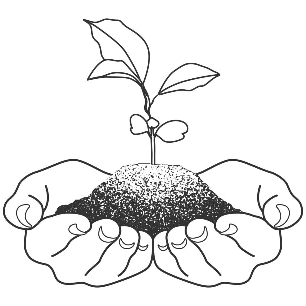 Hand hold a sapling. vector