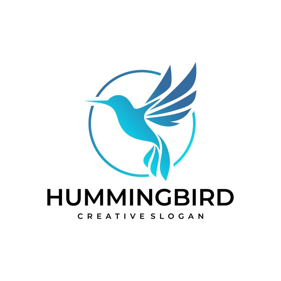 abstract colorful hummingbird colibri bird logo line outline monoline vector icon illustration