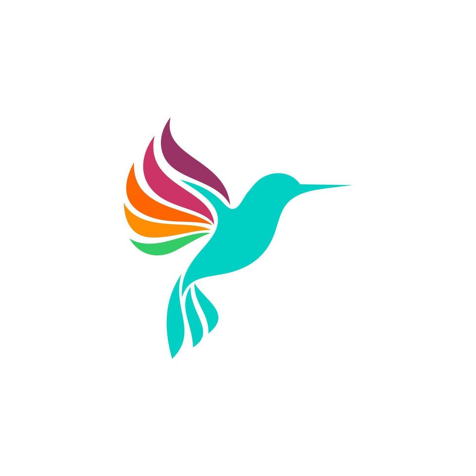 abstract colorful hummingbird colibri bird logo line outline monoline vector icon illustration