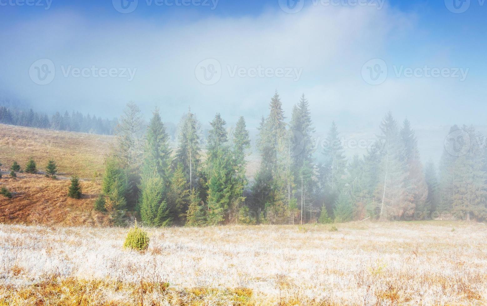 Winter landscape glowing by sunlight. Dramatic scene. Scenic fog photo