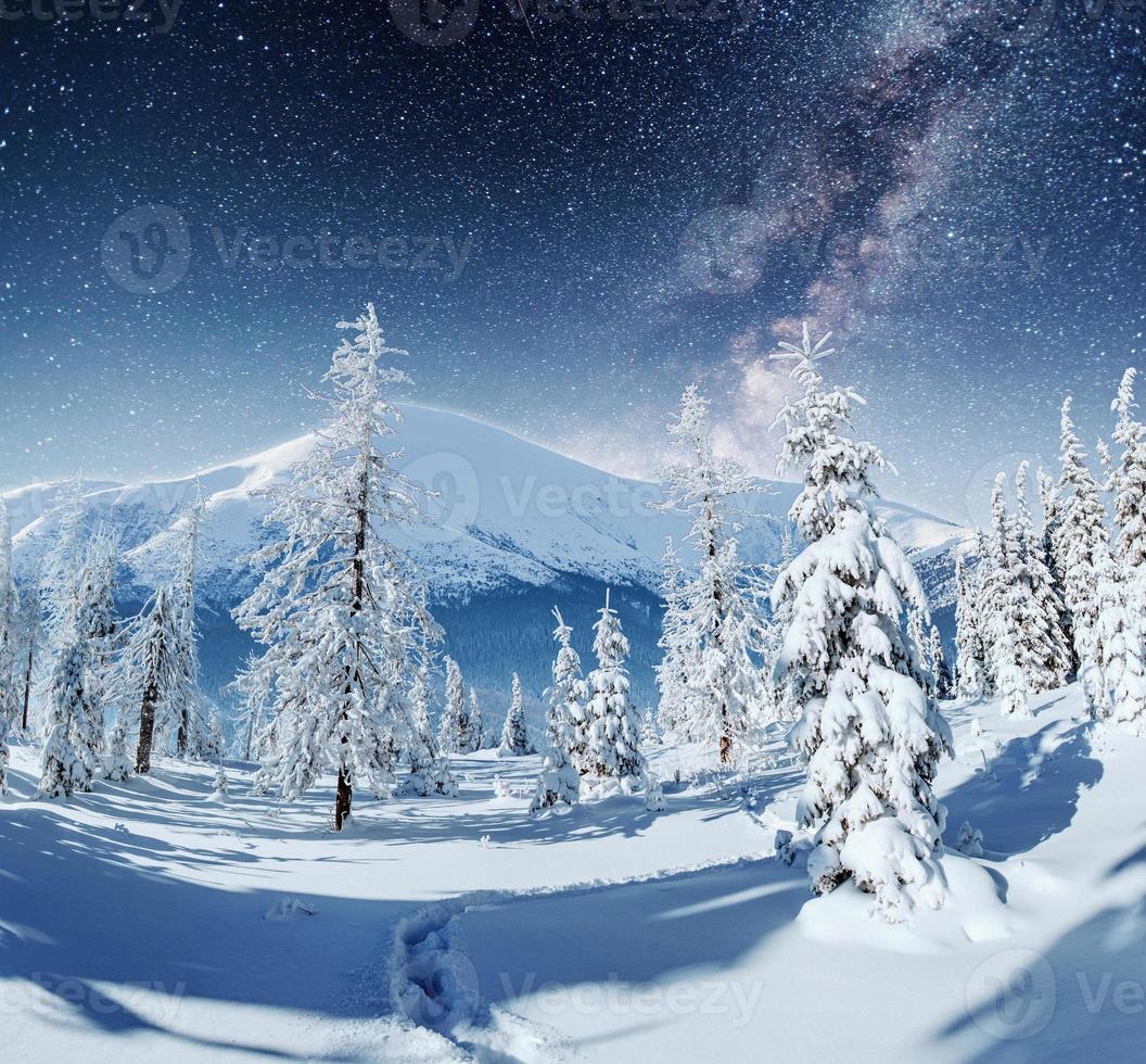 cielo estrellado en la noche de invierno cubierto de nieve. fantástica vía láctea foto