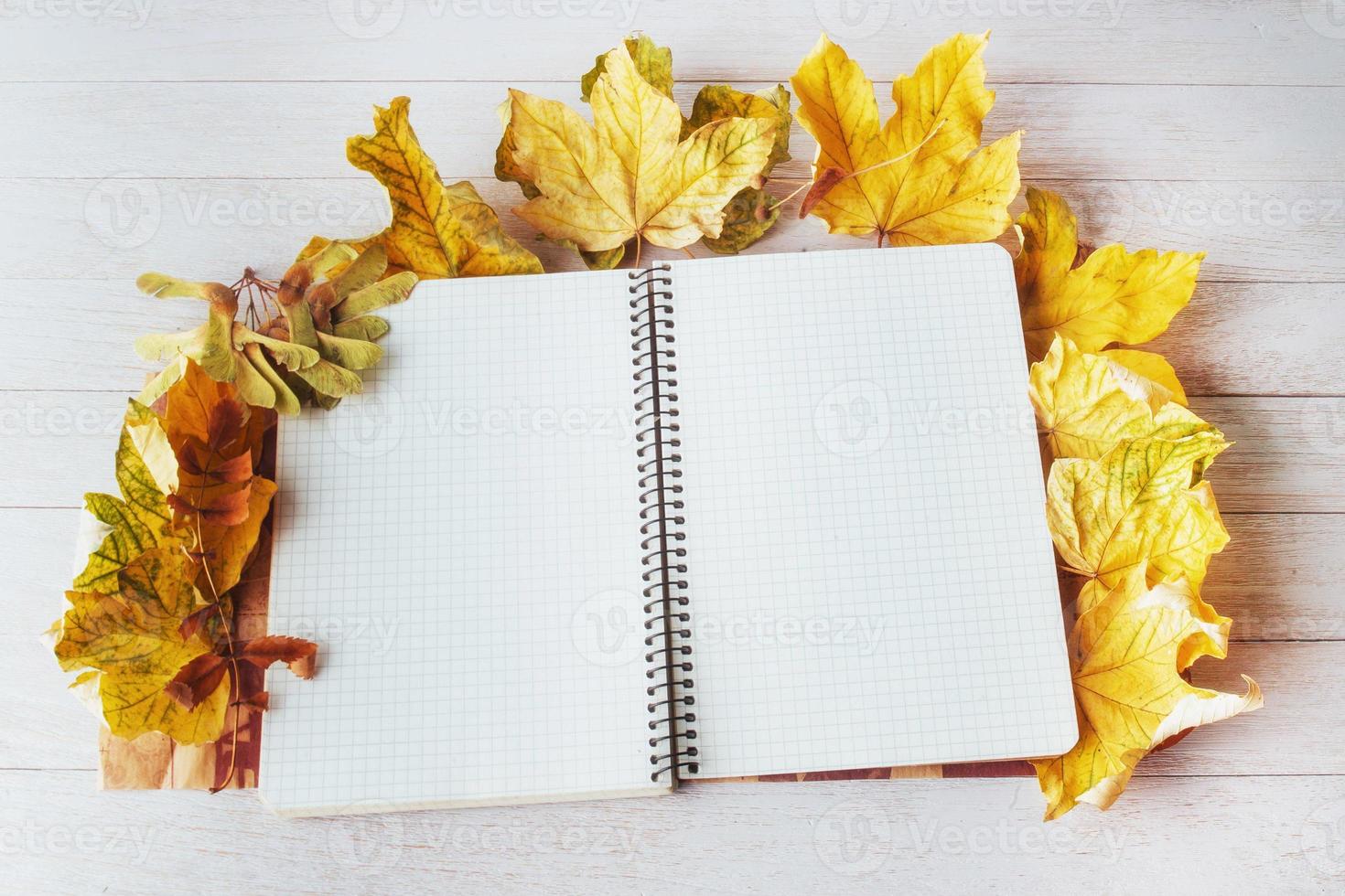 Yellow maple leaves on top and notebook lying photo