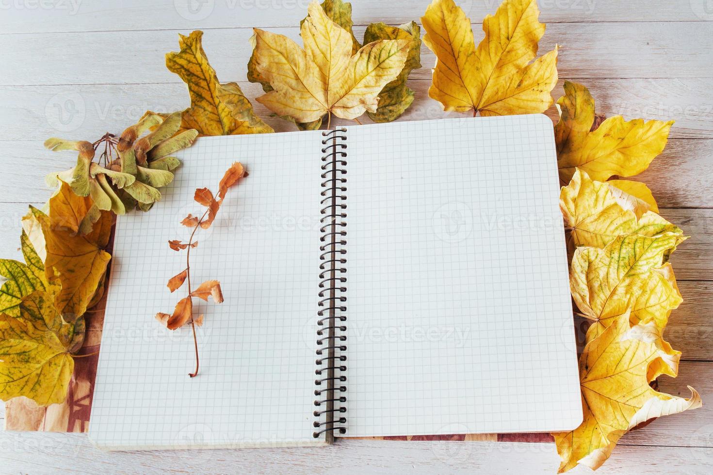 Yellow maple leaves on top and notebook lying photo