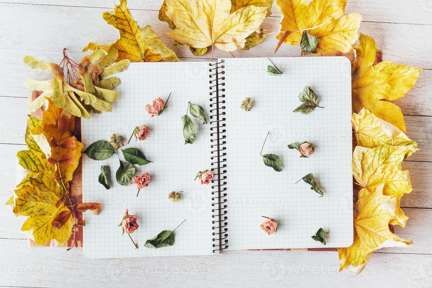 hojas de arce amarillas y cuaderno superior con flores secas foto