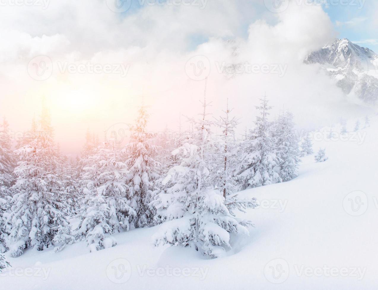 Mysterious winter landscape majestic mountains photo