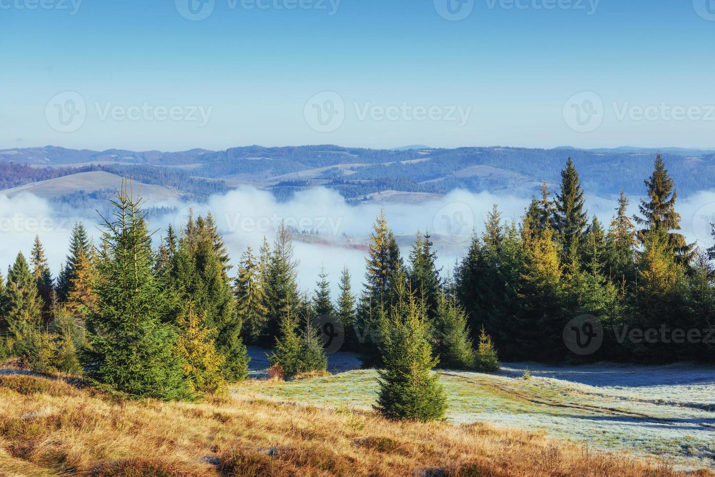 Winter landscape glowing by sunlight. Dramatic scene. Scenic fog photo