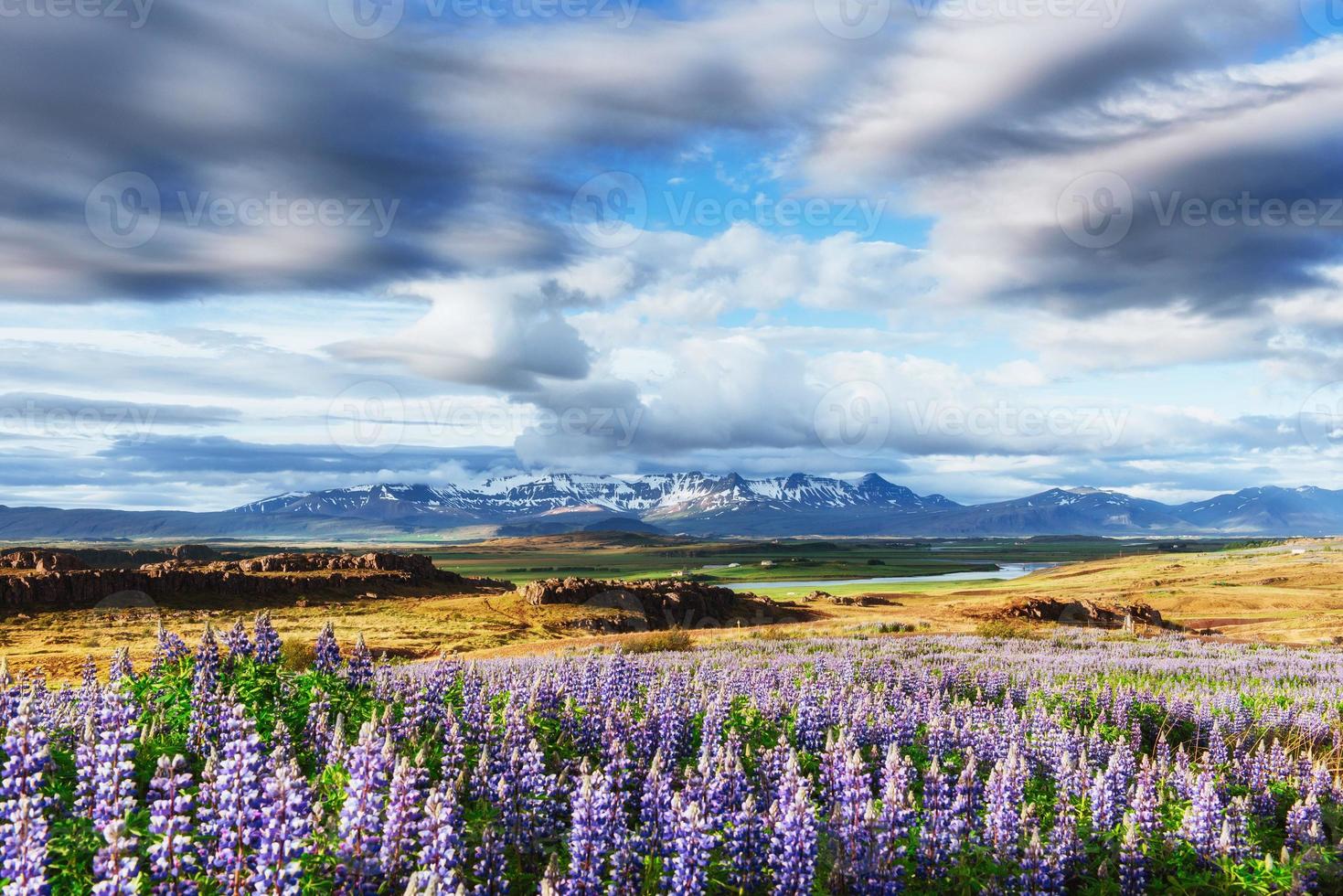 los pintorescos paisajes bosques y montañas de islandia. foto