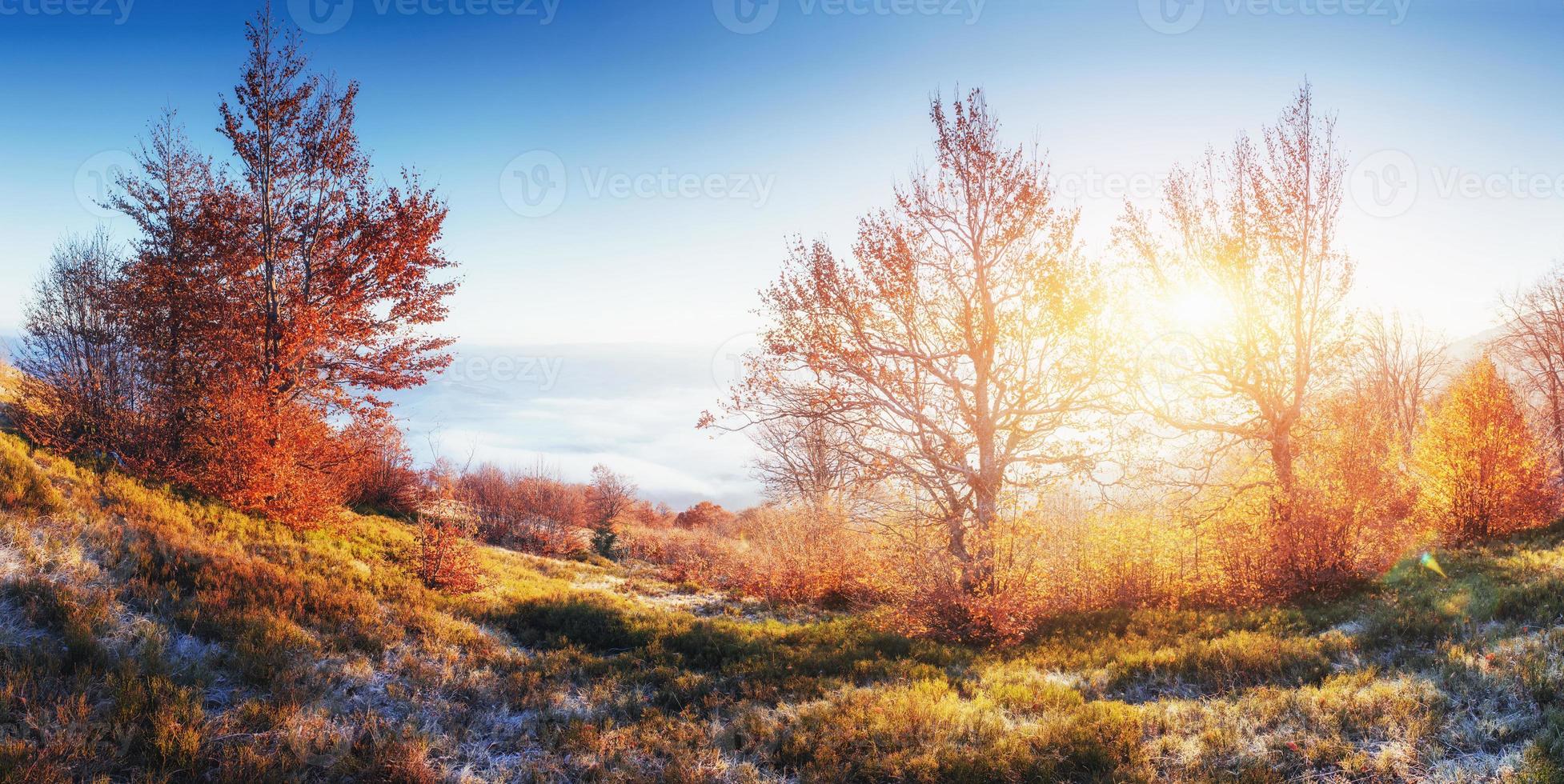 fantástica luz del sol en la mañana. niebla en la montaña foto