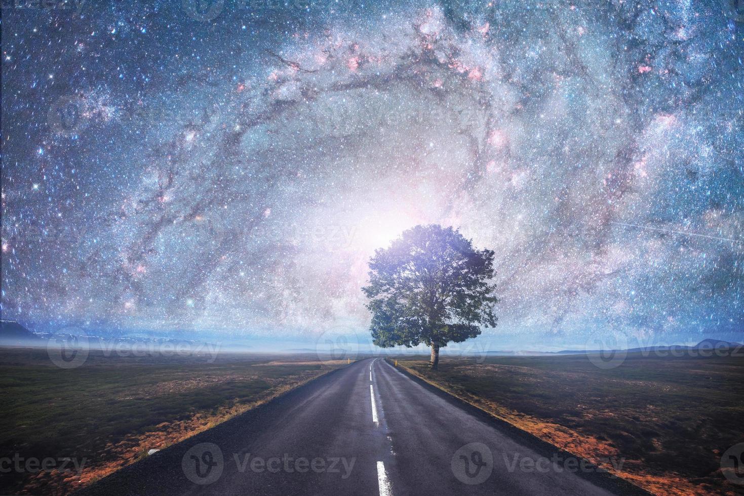 Asphalt road and lonely tree under a starry night sky photo