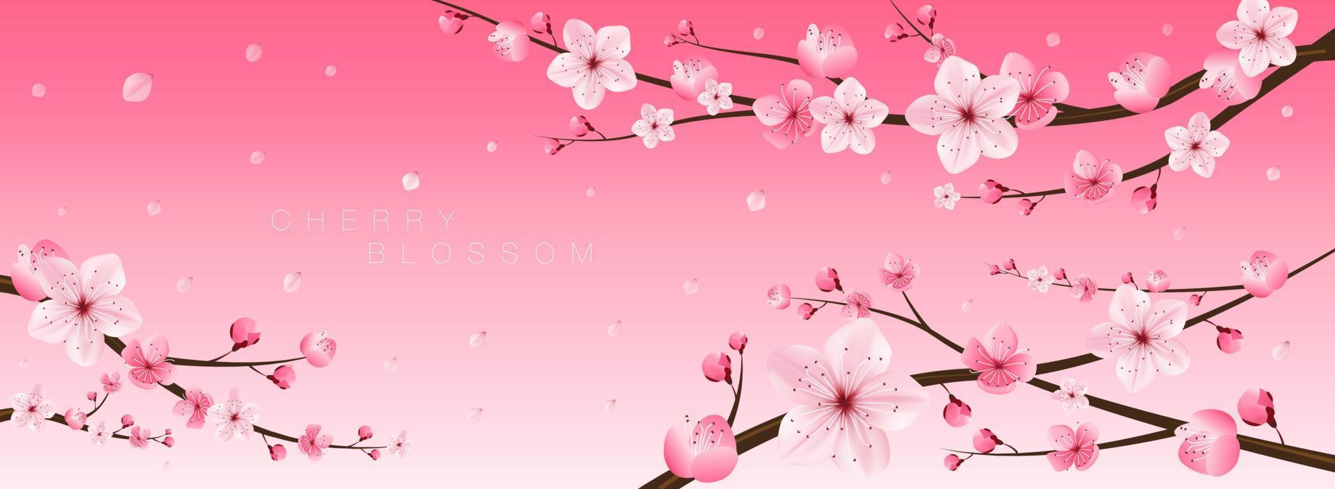 Cherry blossom, sakura, Japan,Japanese floral pattern ,vector illustration. vector