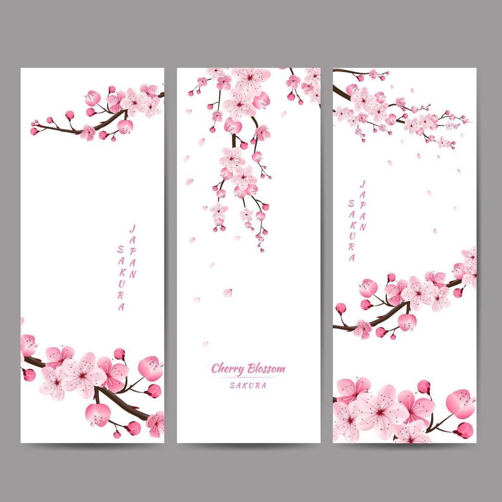 flor de cerezo, sakura, japón, patrón floral japonés, ilustración vectorial. vector