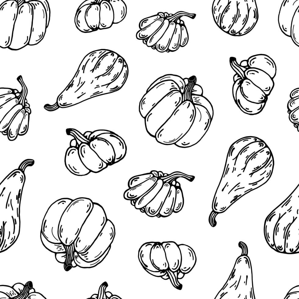 Ripe pumpkins seamless vector pattern. Hand drawn illustration on white background. Autumn harvest sketch, garden vegetables. Backdrop for Thanksgiving, Halloween, seasonal festival