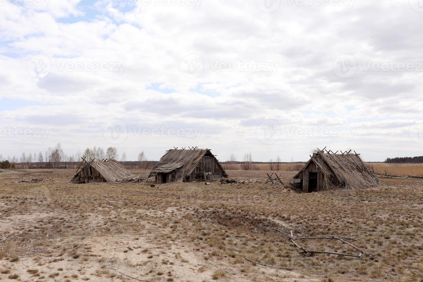 remnants of Ancient houses made from hollow logs with wooden and thatched roofs on the meadow photo