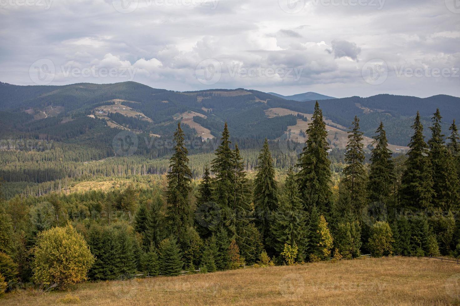 Magnificent view the coniferous forest on the mighty Carpathians Mountains and beautiful cloudy sky background. Beauty of wild virgin Ukrainian nature, Europe. Popular tourist attraction. photo