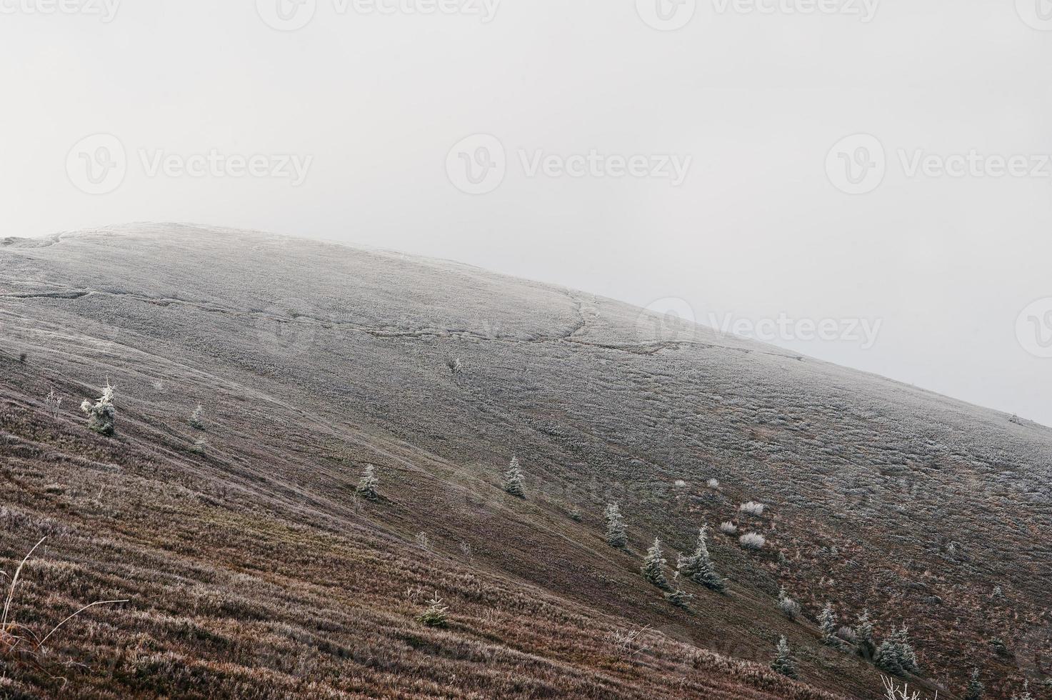 árboles de escarcha en las montañas de los cárpatos, ucrania europa foto