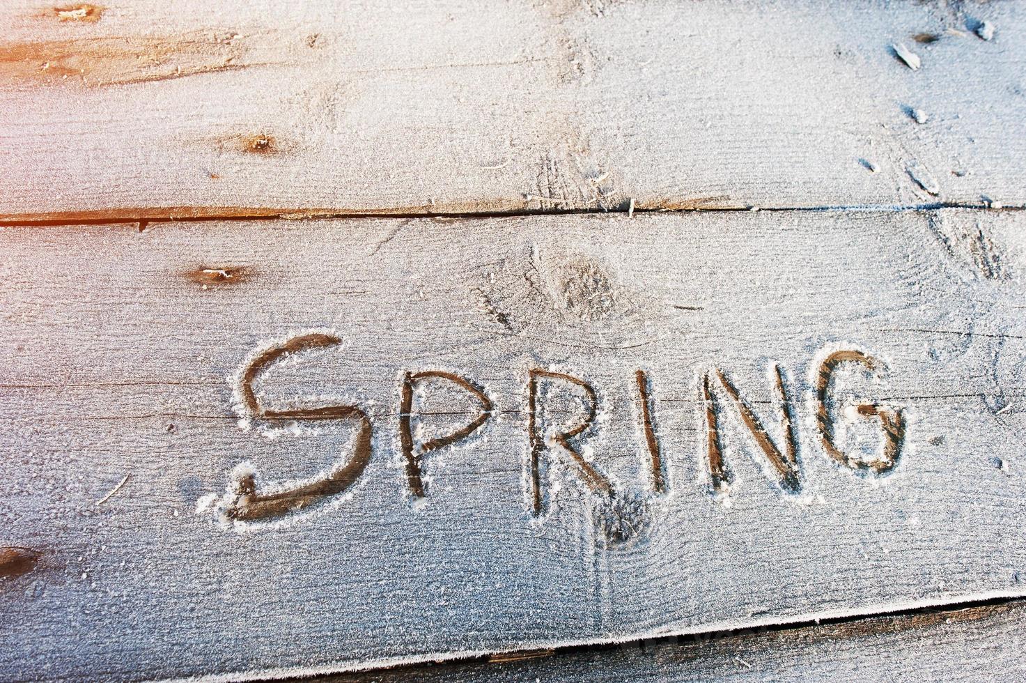 Spring written on a wooden background with frosts photo