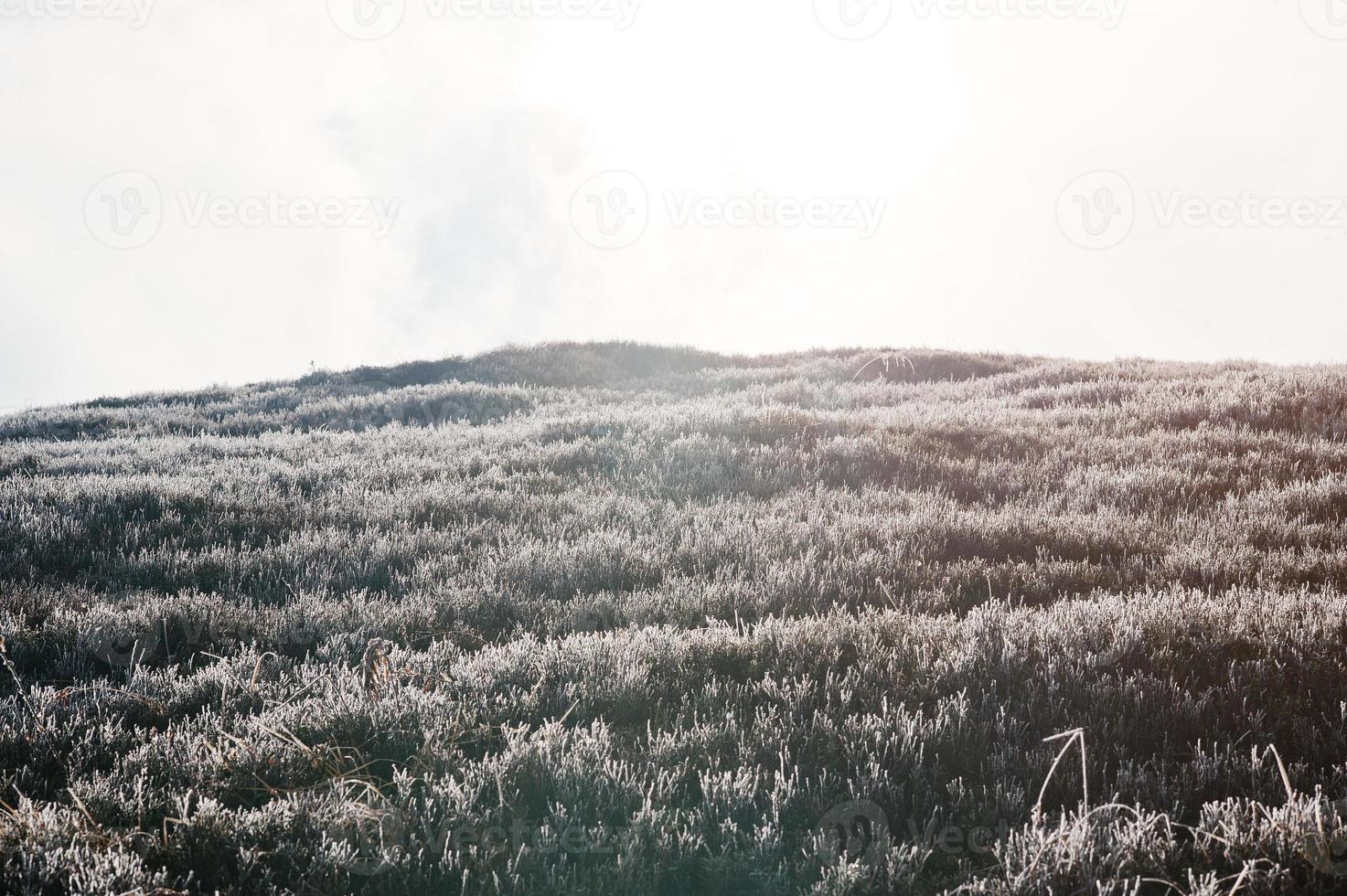 Picturese frozen hill of mountain on sunlight. photo