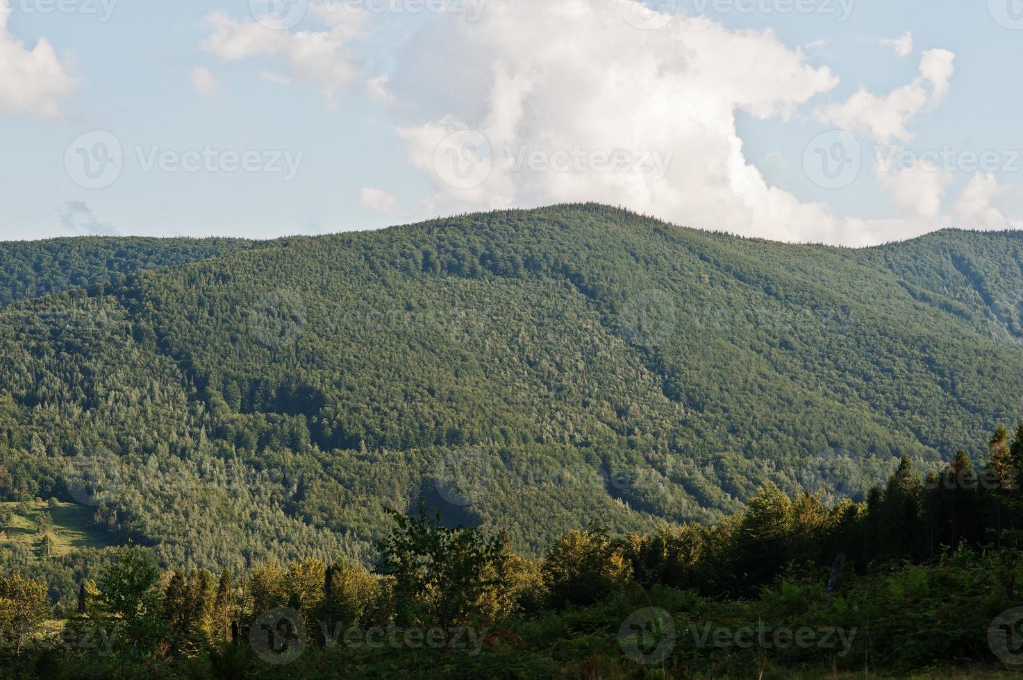 View of the ridge Carpathian mountains on west Ukraine photo