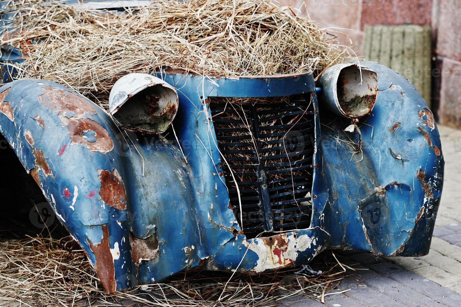 Old abandoned car with hay on engine photo