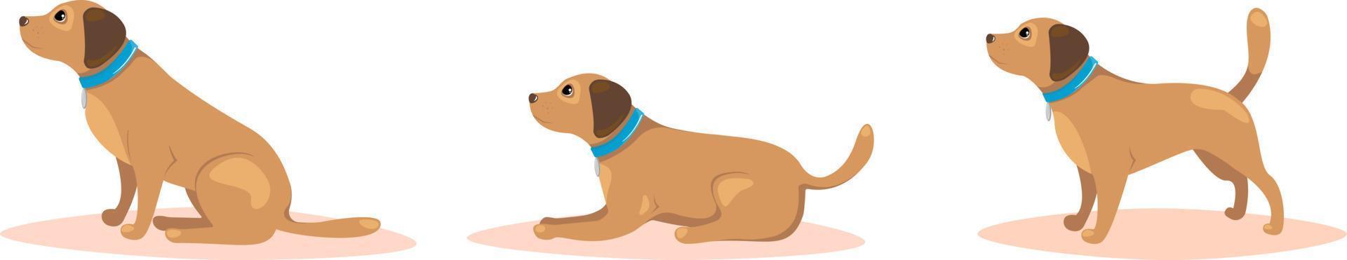 Set of poses of dog. Pet training concept. Vector illustration.