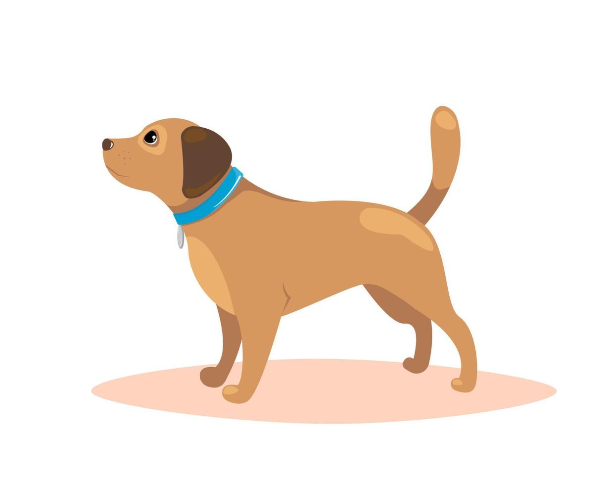 Dog standing. Pet training concept. Vector illustration.