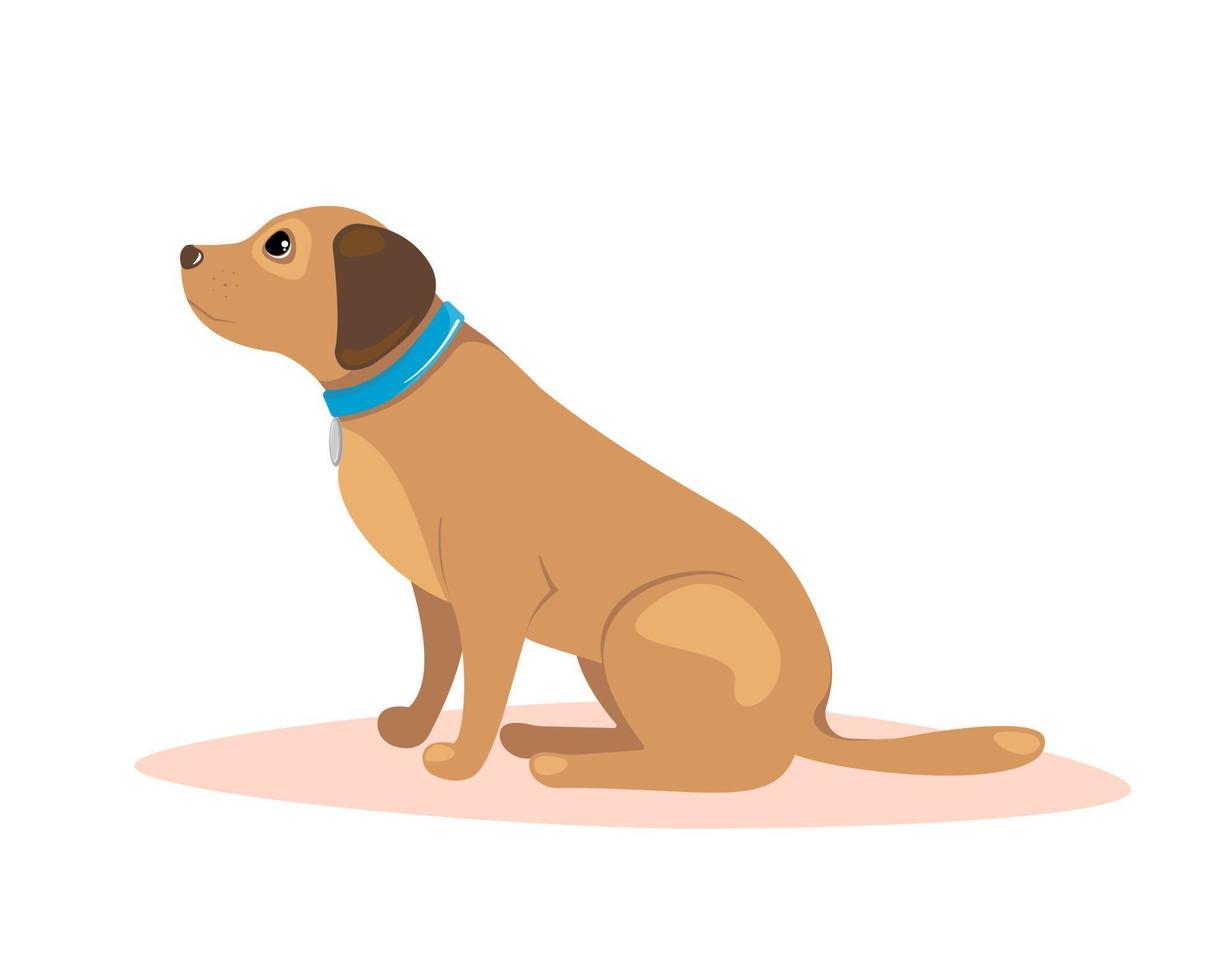 Dog sitting. Pet training concept. Vector illustration.