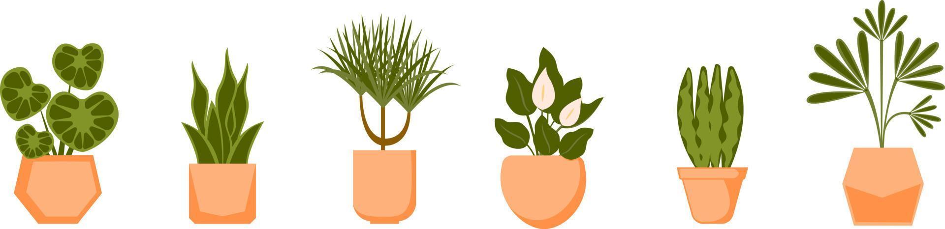Set of home plants in clay pots. Vector collection of houseplants in flat style.
