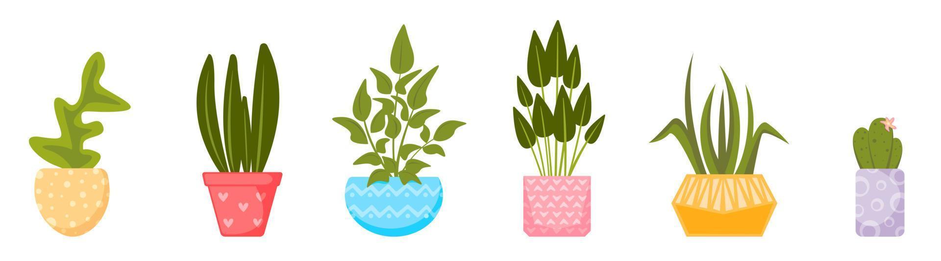 Set of home plants in pots. Vector collection of house plants in flat style.