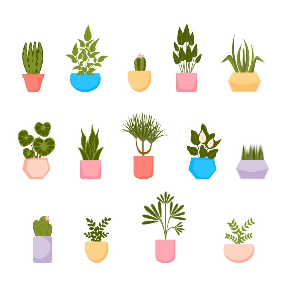 Set of home plants in pots. Vector collection of house plants in flat style