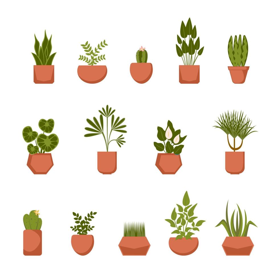 Set of home plants in clay pots. Vector collection of houseplants in flat style.