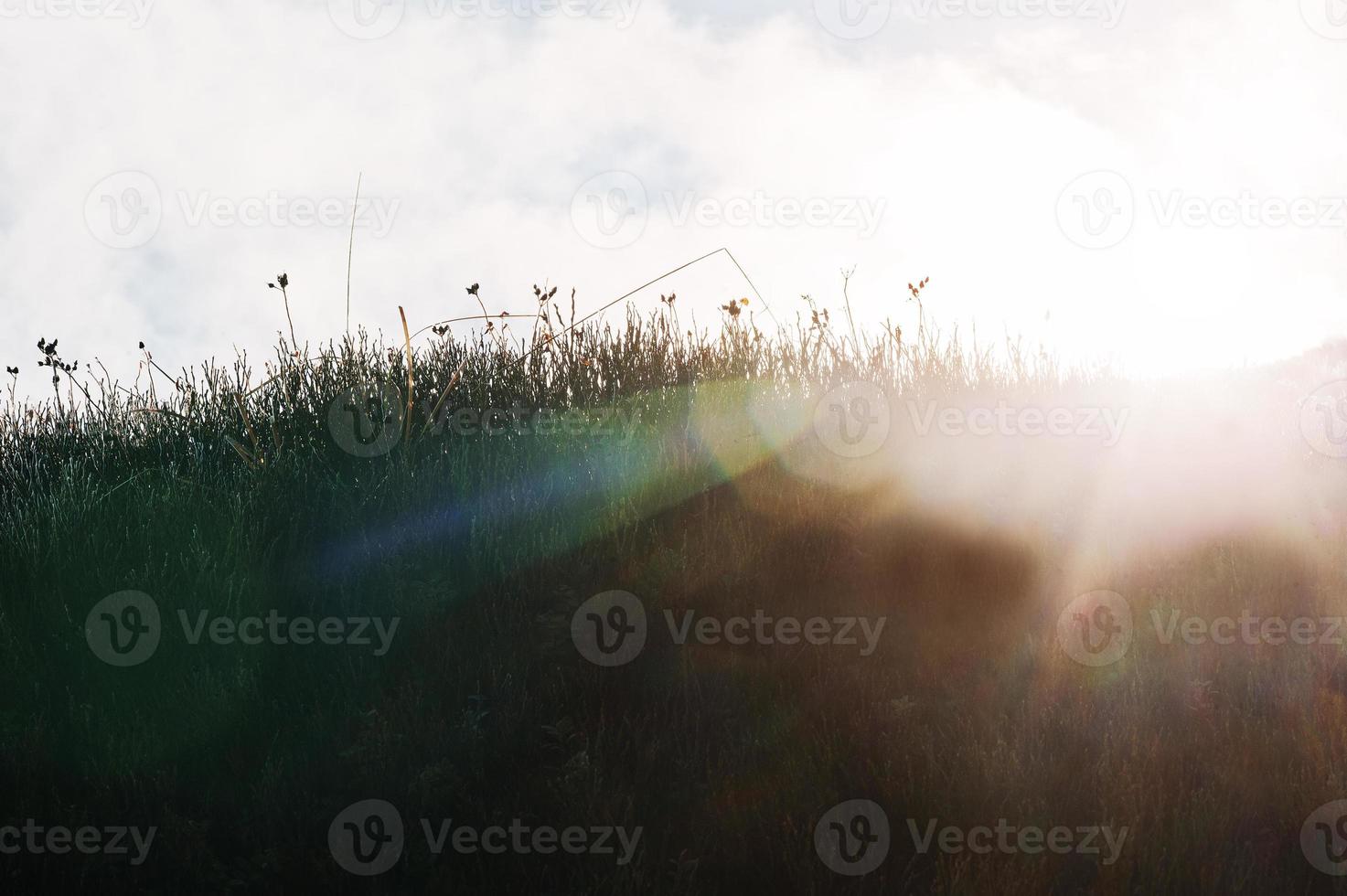 Cold freeze grass at mountains illuminates sun. Sunlight on the mountain photo