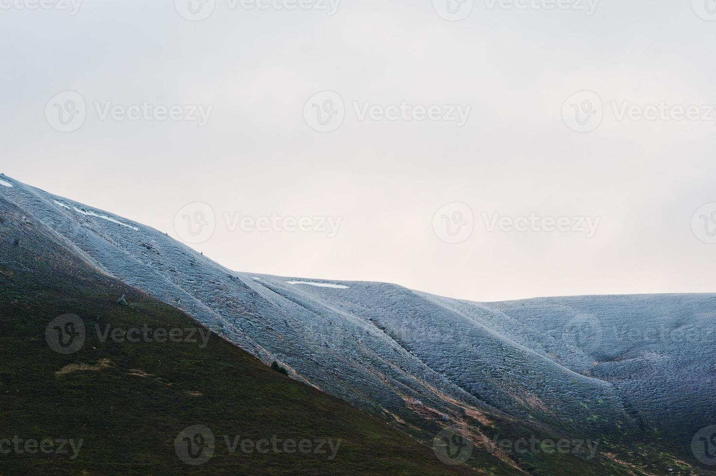 Snow-covered mountain top with trees at Carpathian mountains on Ukraine, Europe. photo