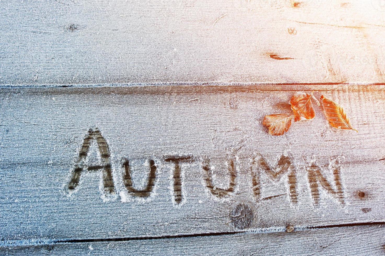 otoño escrito sobre un fondo de madera con heladas foto