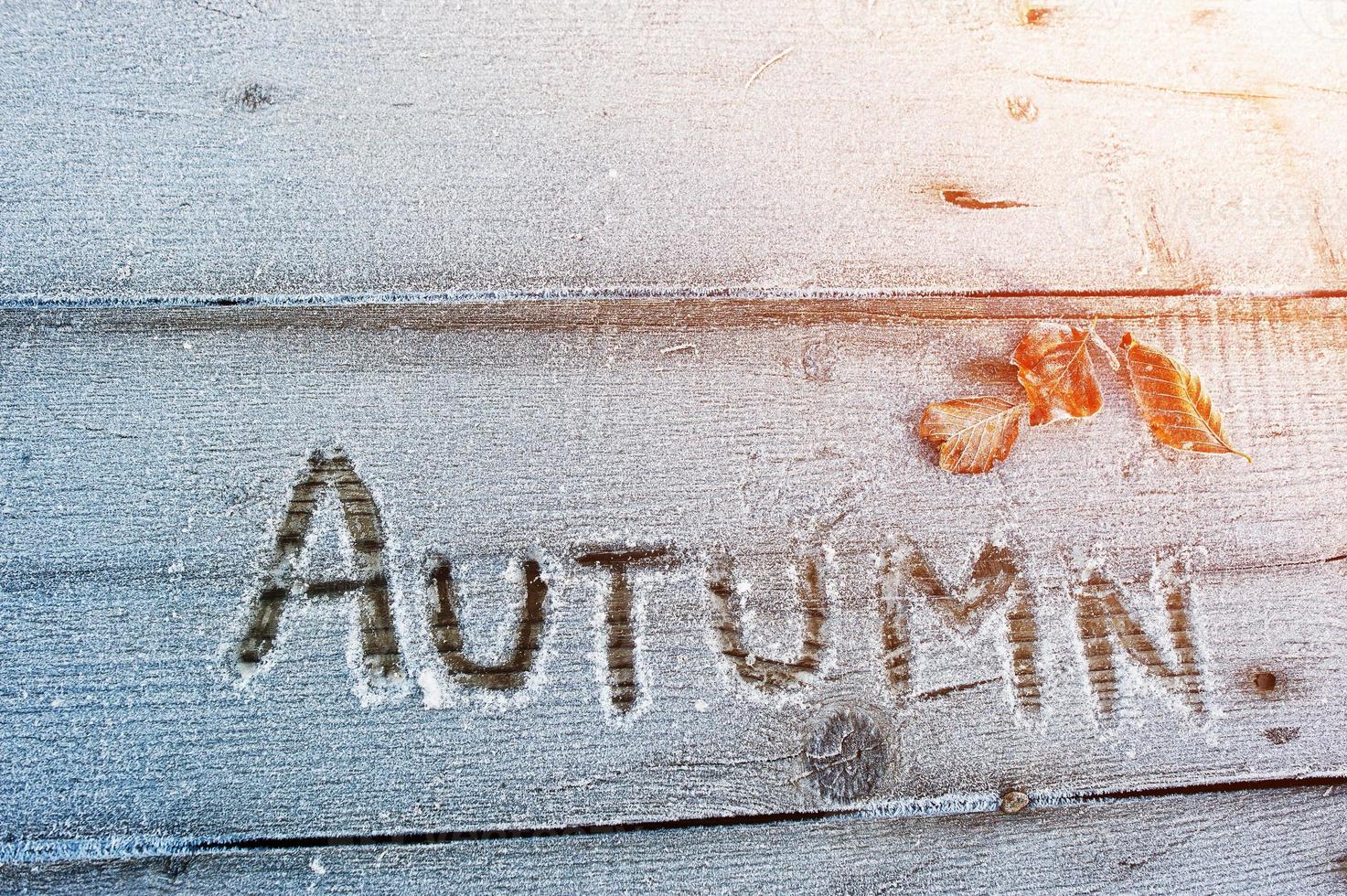 Autumn written on a wooden background with frosts photo