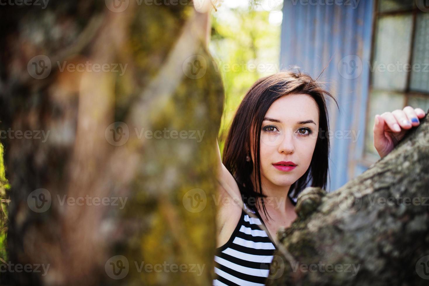 Brunette model girl at dress with stripes posed near tree. photo