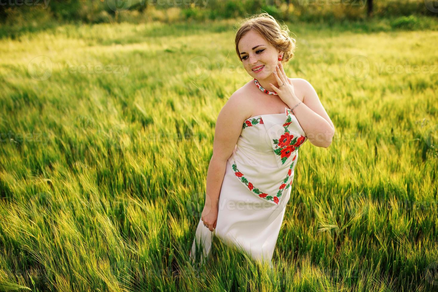 niña en vestido nacional ucraniano posó en el campo de la corona. foto