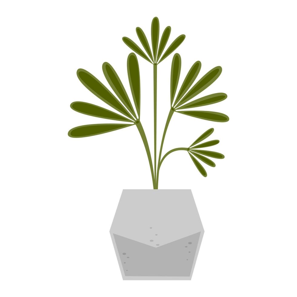 Vector illustration of houseplant. Indoor flower in pot isolated on white background.