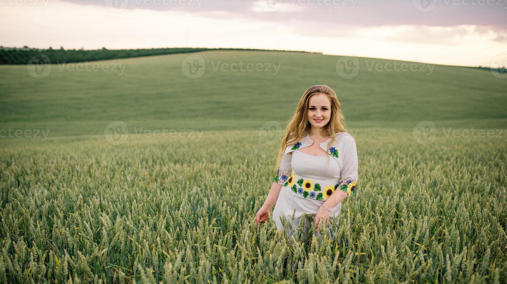 niña en vestido nacional ucraniano posó en el campo de la corona. foto