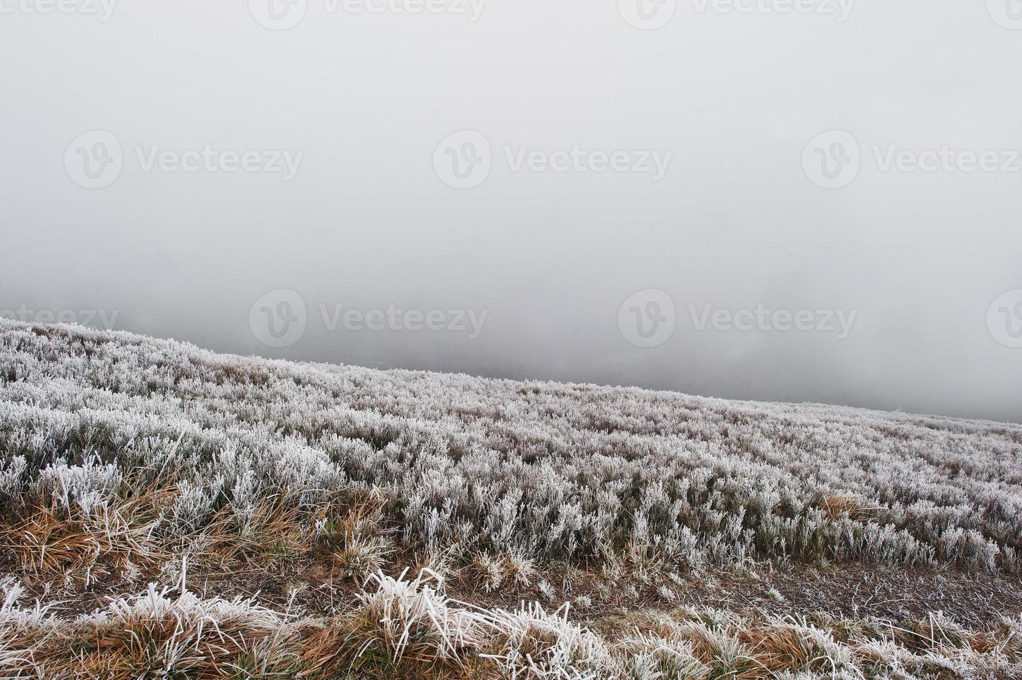 Mountainsides with frozen grass and fog on hill. photo