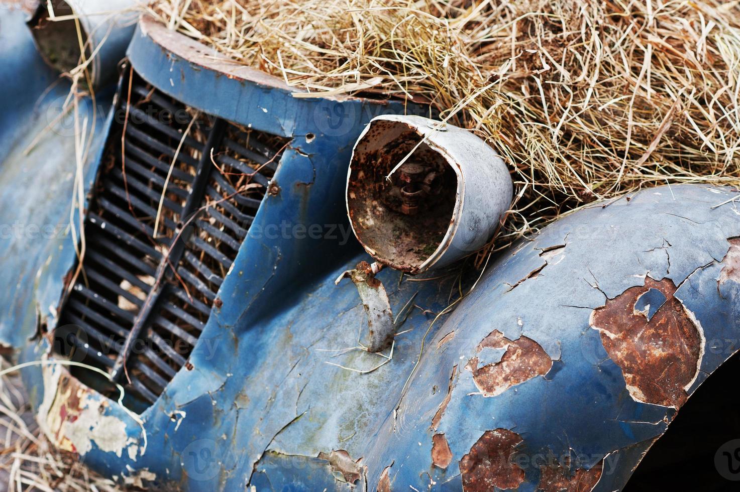 Old abandoned car with hay on engine photo