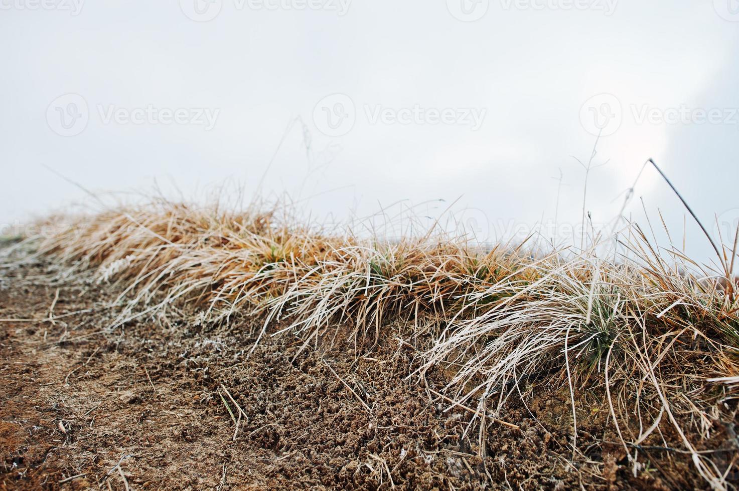 Close up of frost grass on mountain hill road photo