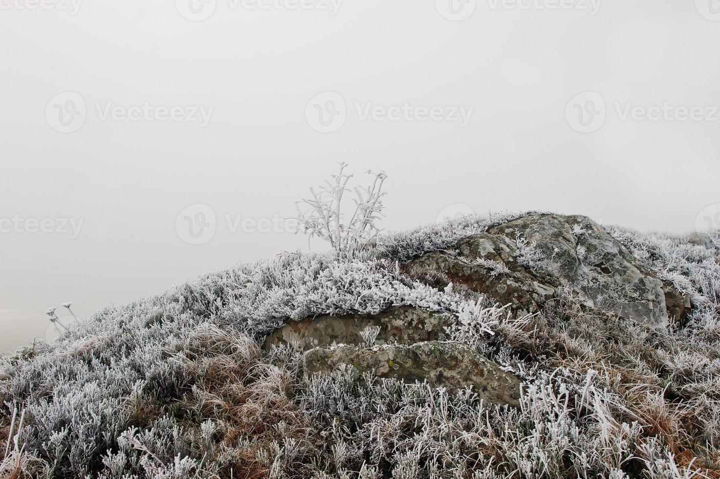 Frozen grass with stone on mountain hill on fog photo