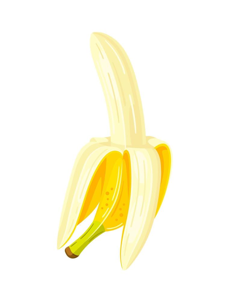 Yellow banana isolated on white background vector