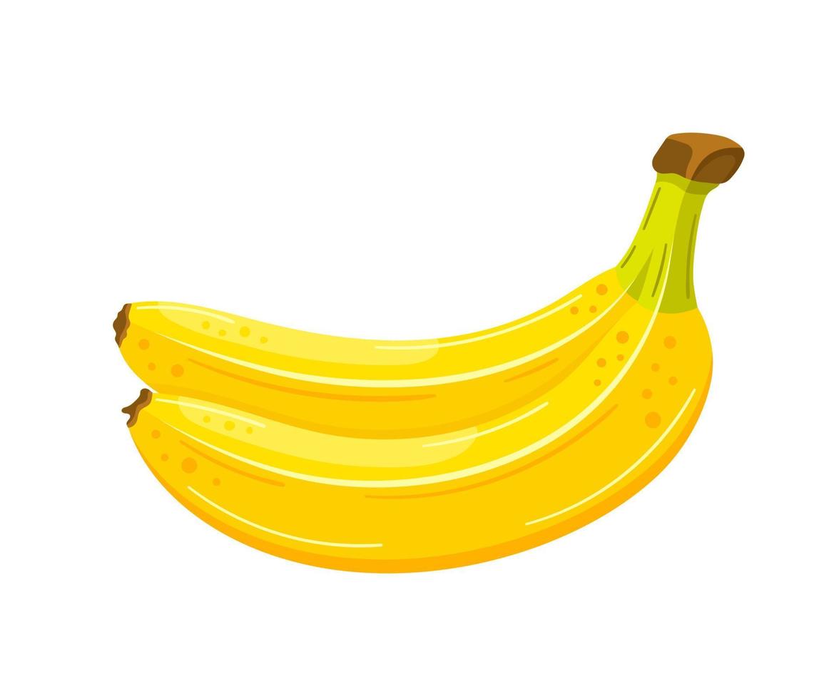 Yellow bananas isolated on a white background vector