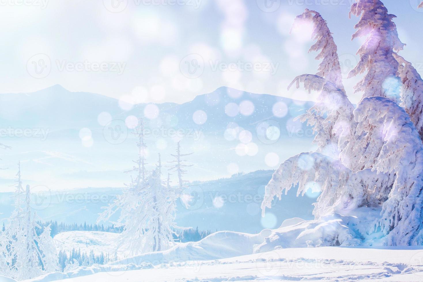 winter landscape trees and fence in hoarfrost, background with s photo