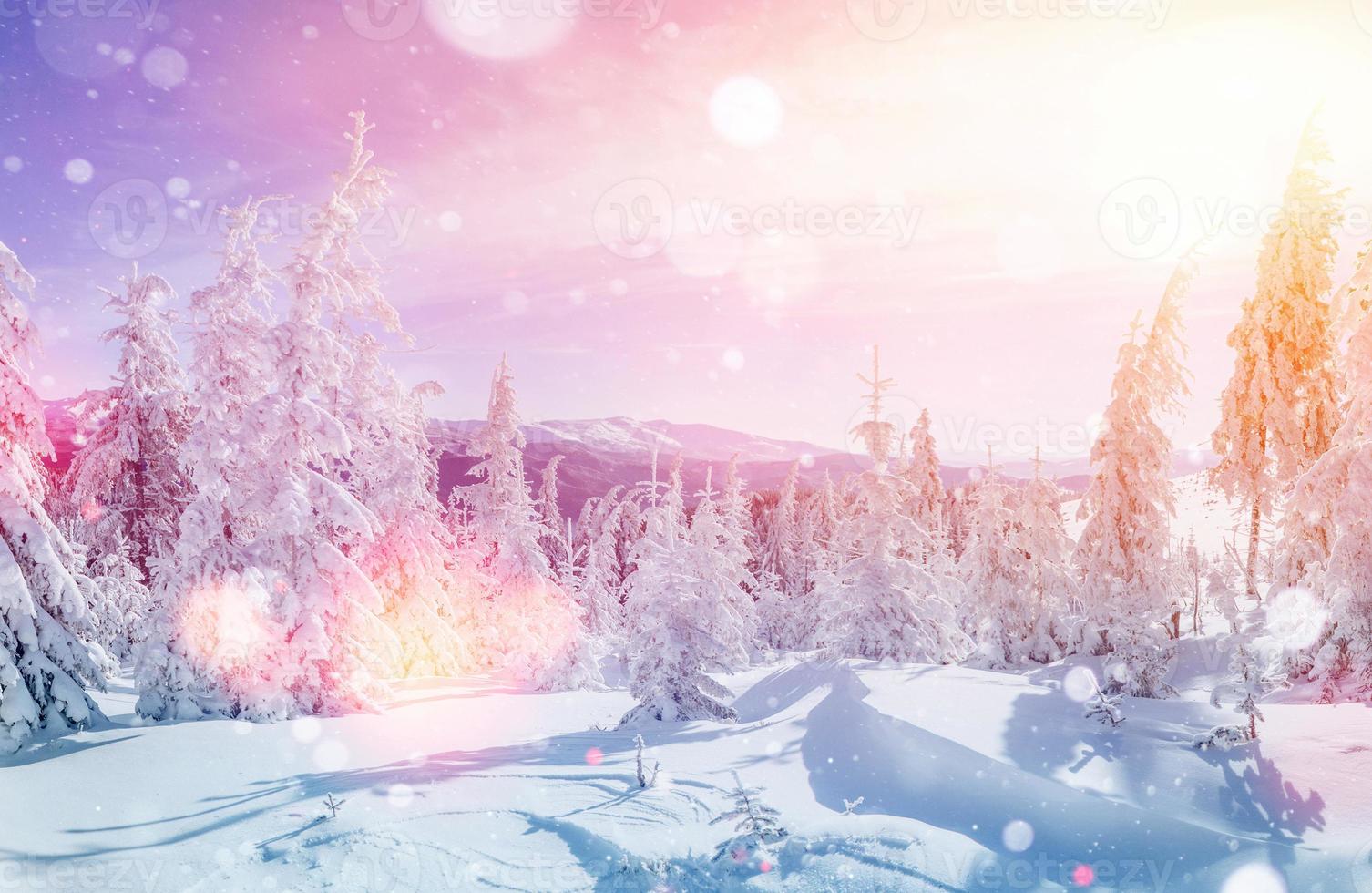 Mysterious winter landscape majestic mountains photo